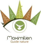 Maximilien Guide nature